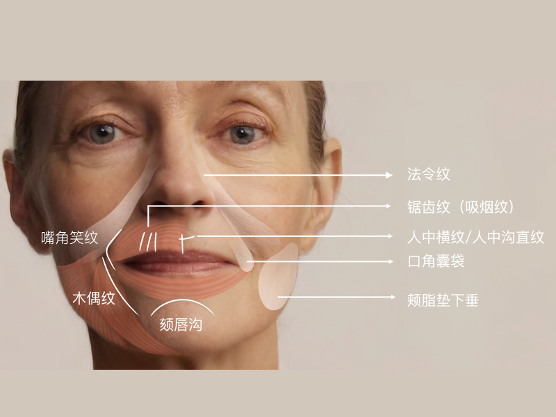 针美汇口周360
